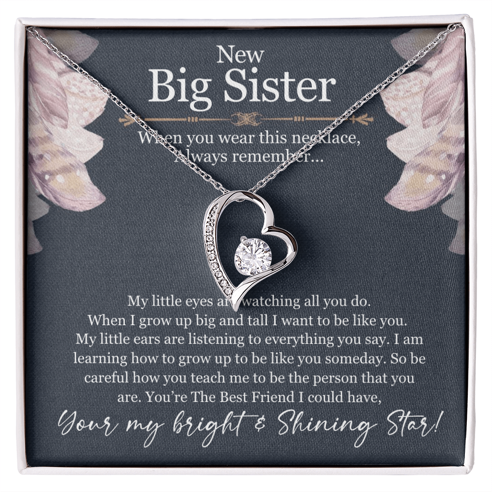 Best Gifts 305-Big Sister Necklace Gift Heart Pendant from Sibling