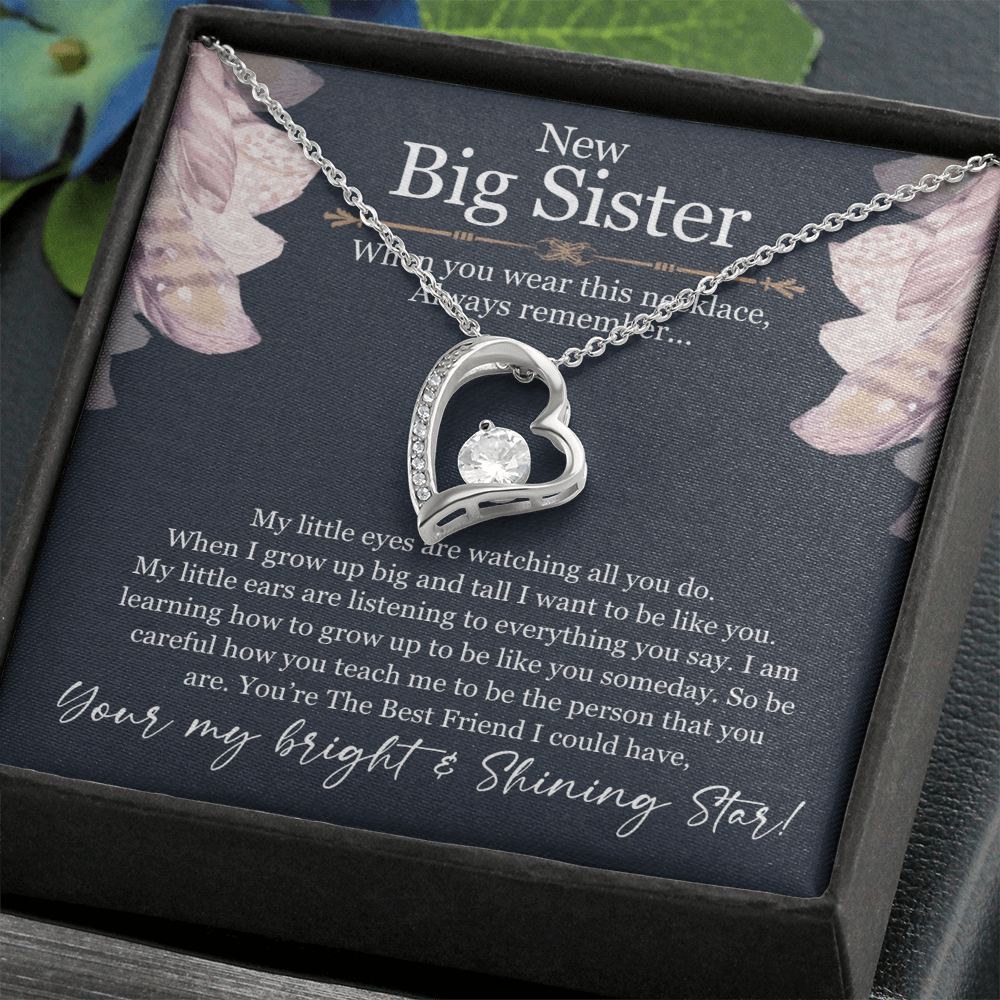 Best Gifts 305-Big Sister Necklace Gift Heart Pendant from Sibling