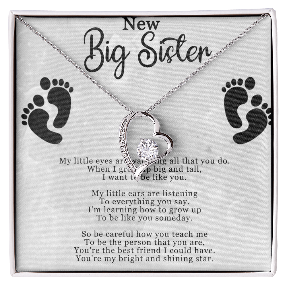 Best Gifts 305–New Big Sister Necklace – Heart CZ Pendant Gift for Big Sister
