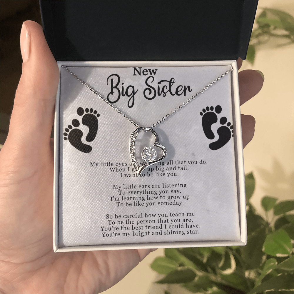 Best Gifts 305–New Big Sister Necklace – Heart CZ Pendant Gift for Big Sister