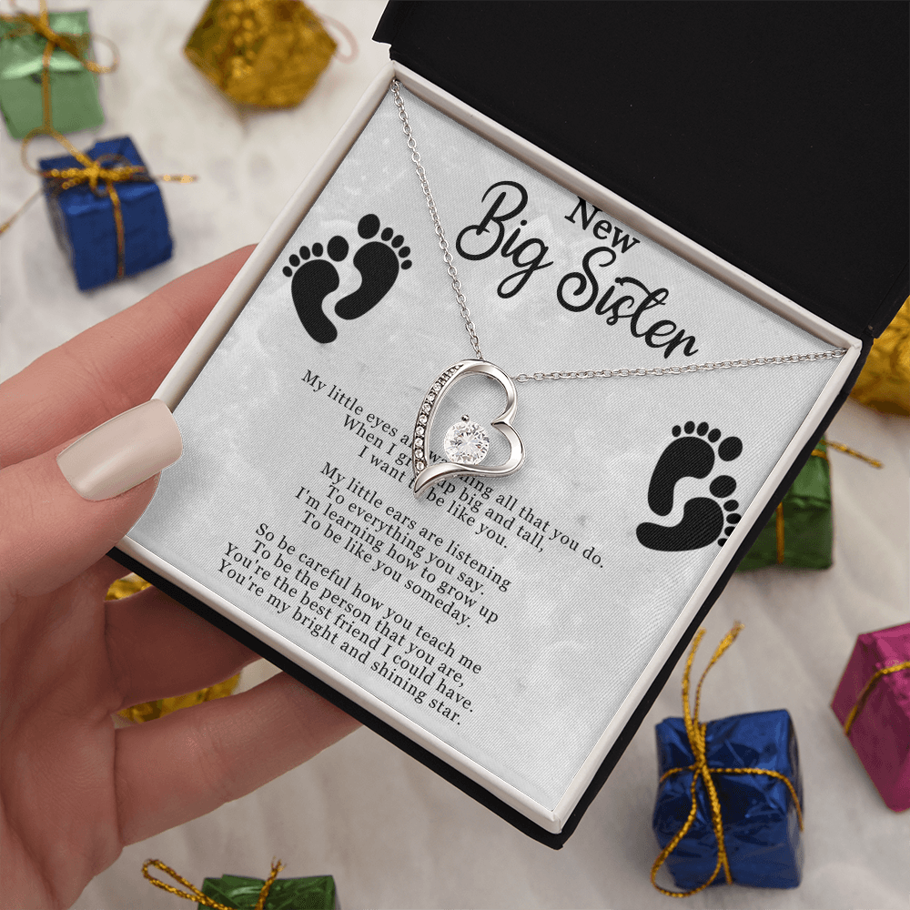 Best Gifts 305–New Big Sister Necklace – Heart CZ Pendant Gift for Big Sister