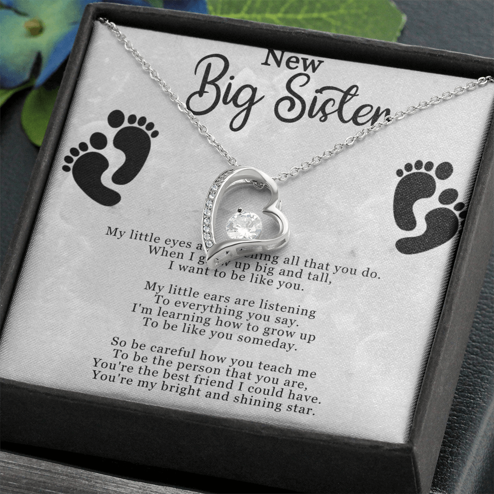 Best Gifts 305–New Big Sister Necklace – Heart CZ Pendant Gift for Big Sister