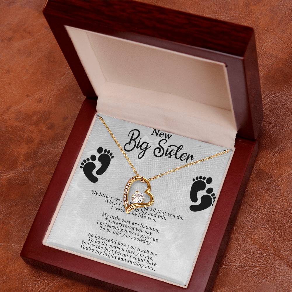 New Big Sister Necklace - Forever Love Pendant with CZ Crystal - Inspirational Gift for Big Sister - 14k White Gold or 18k Yellow Gold Finish - Adjustable Chain
