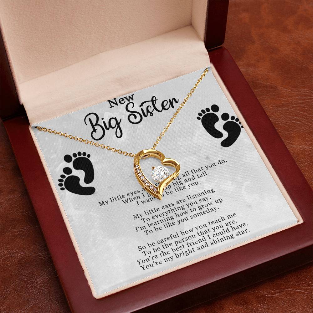 New Big Sister Necklace - Forever Love Pendant with CZ Crystal - Inspirational Gift for Big Sister - 14k White Gold or 18k Yellow Gold Finish - Adjustable Chain