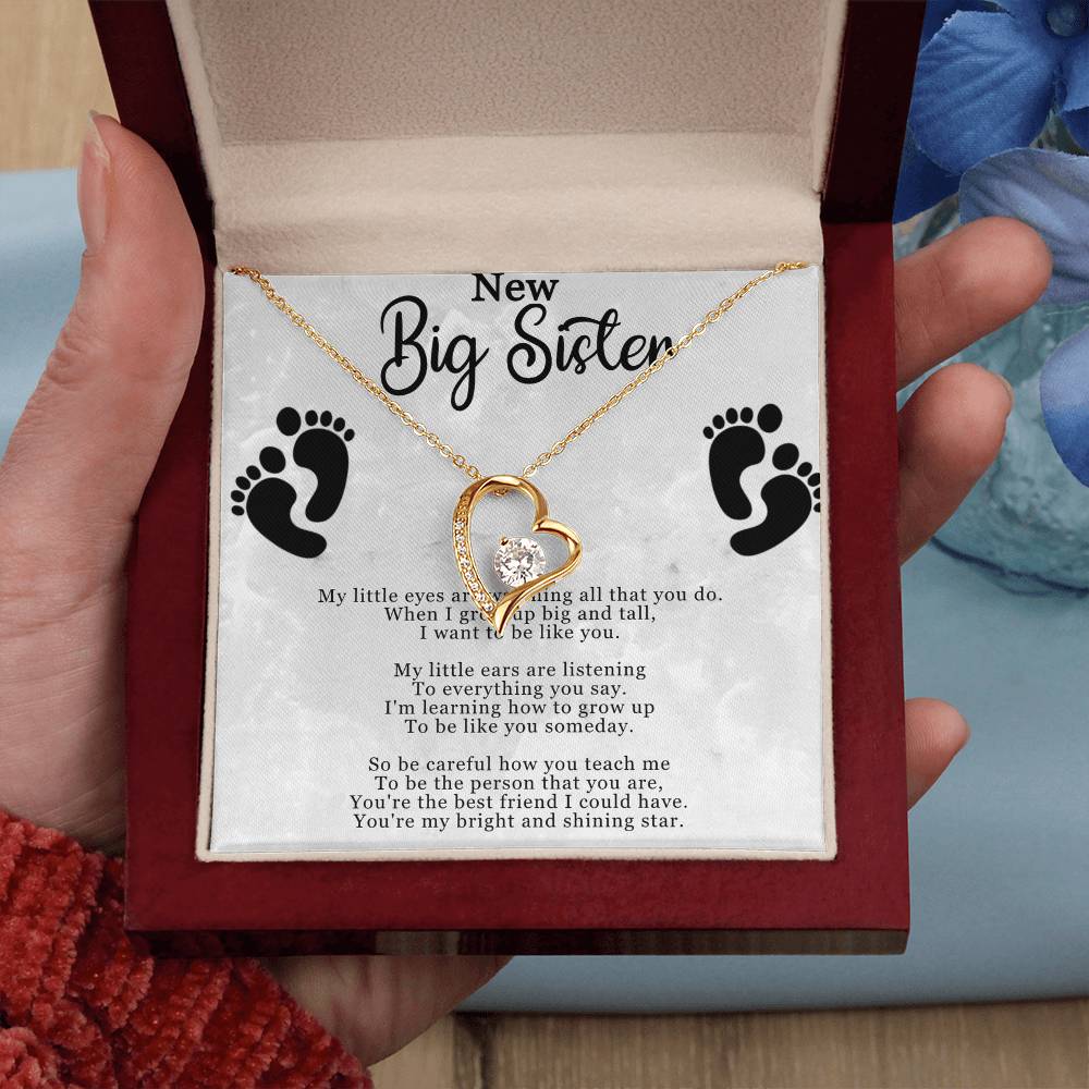 New Big Sister Necklace - Forever Love Pendant with CZ Crystal - Inspirational Gift for Big Sister - 14k White Gold or 18k Yellow Gold Finish - Adjustable Chain