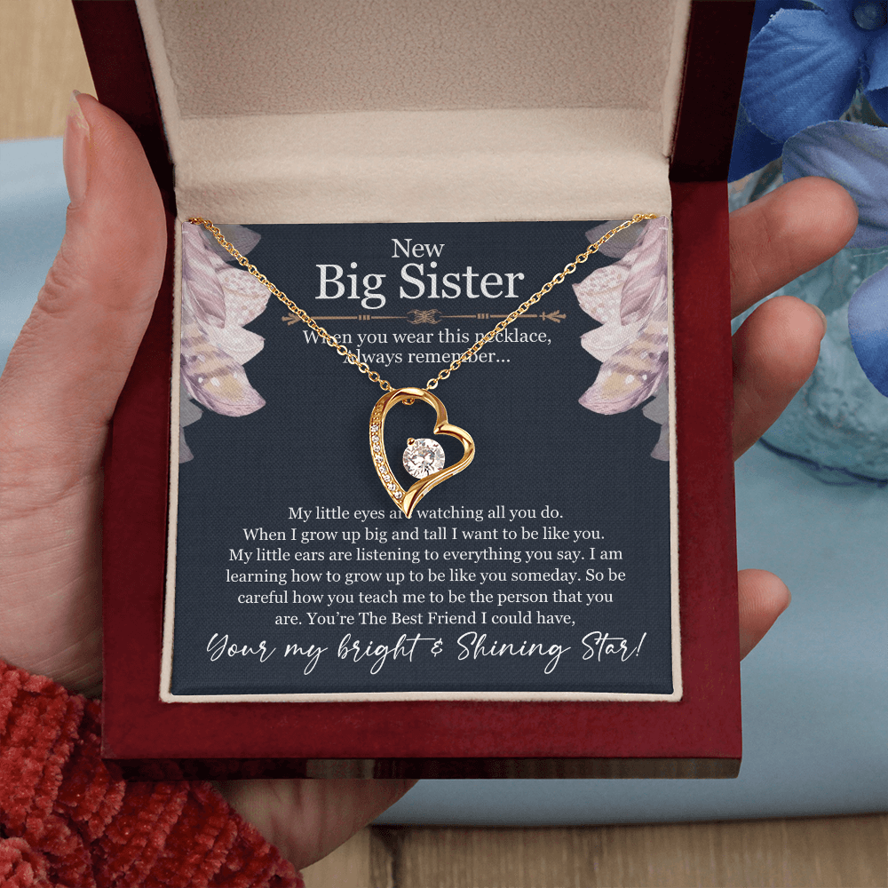 Big Sister Necklace Gift – Forever Love Heart Pendant from Little Sister or Brother, New Big Sister Jewelry
