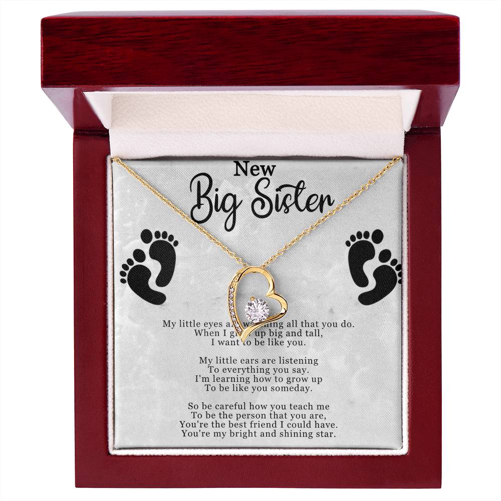 New Big Sister Necklace - Forever Love Pendant with CZ Crystal - Inspirational Gift for Big Sister - 14k White Gold or 18k Yellow Gold Finish - Adjustable Chain