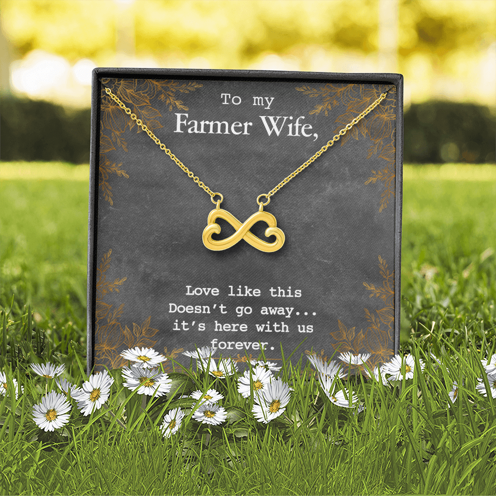 To My Farmer Wife Endless Love Necklace – Heart Infinity Symbol with 14k White Gold or 18k Yellow Gold Finish – Adjustable 16” to 22” Chain – Perfect Gift for Her