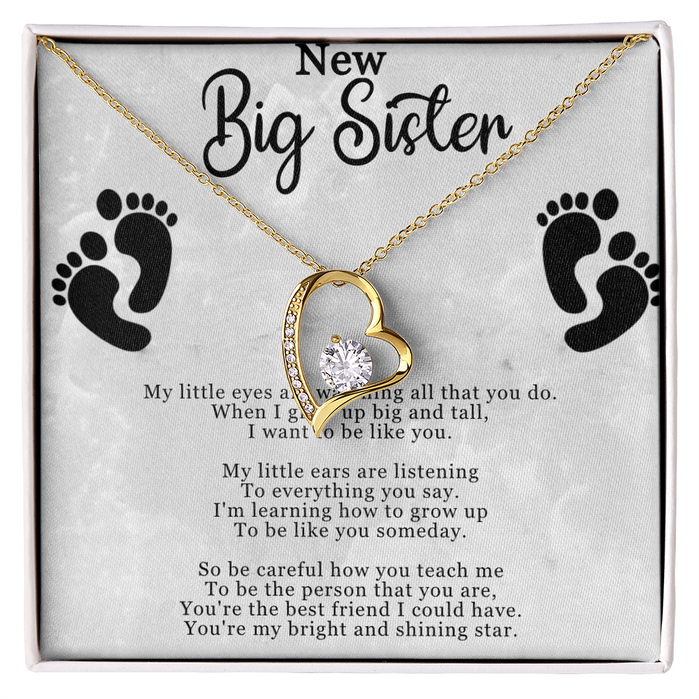 New Big Sister Necklace - Forever Love Pendant with CZ Crystal - Inspirational Gift for Big Sister - 14k White Gold or 18k Yellow Gold Finish - Adjustable Chain