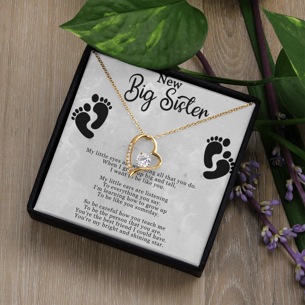 New Big Sister Necklace - Forever Love Pendant with CZ Crystal - Inspirational Gift for Big Sister - 14k White Gold or 18k Yellow Gold Finish - Adjustable Chain