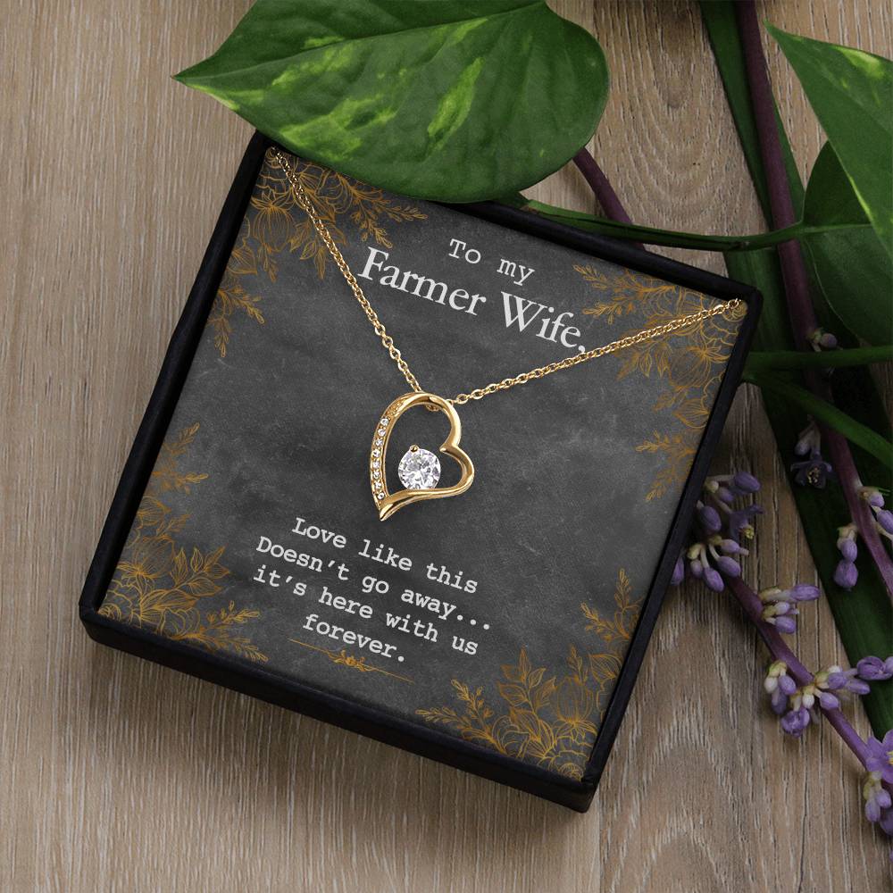 To My Farmer Wife Forever Love Necklace - 14k White Gold or 18k Yellow Gold Finish with CZ Crystal - Adjustable 18" to 22" Chain - Perfect Gift for Her