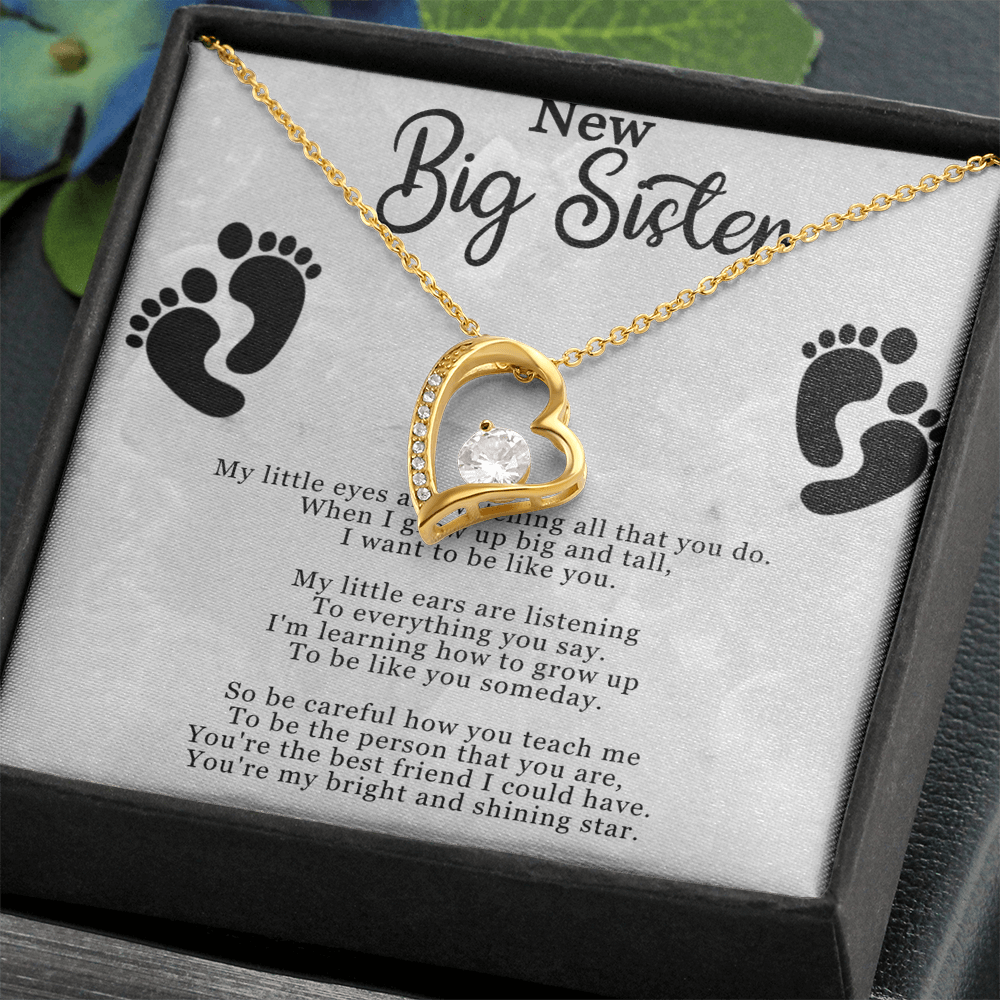 New Big Sister Necklace - Forever Love Pendant with CZ Crystal - Inspirational Gift for Big Sister - 14k White Gold or 18k Yellow Gold Finish - Adjustable Chain